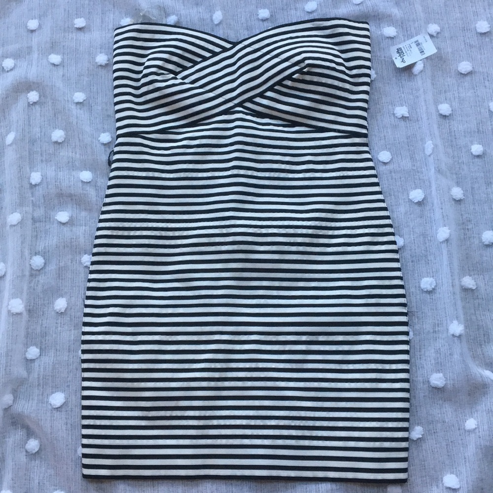 Charlotte Russe Party Dress, Tag still on!